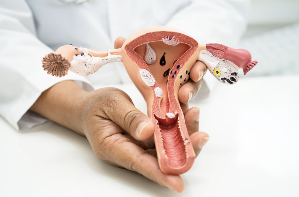 usg transvaginal